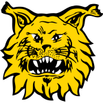 Ilves 
